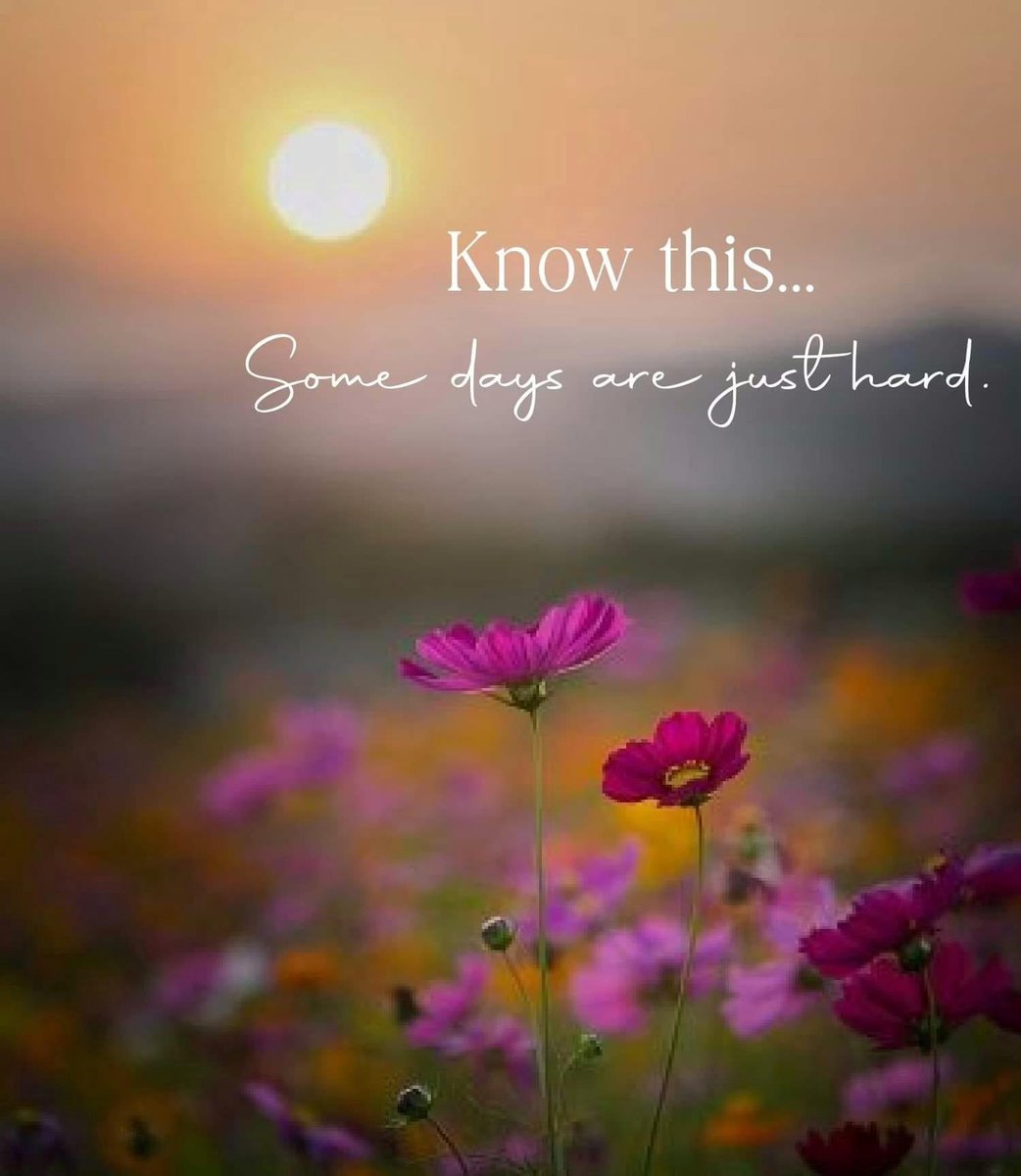 NjoyFamilyLife's tweet photo. As we know tough days are part of life. The good news is there are more good days ahead. Hang in there. 

NjoyFamilyLife

#nlpcoach #lifeisgood #womanownedbusiness #njoyfamilylife #lifecoach #manifest #liveyourbestlife #optimism #encourage #nlppractitioner #encouragingwords https://t.co/T79Z5G7DFh