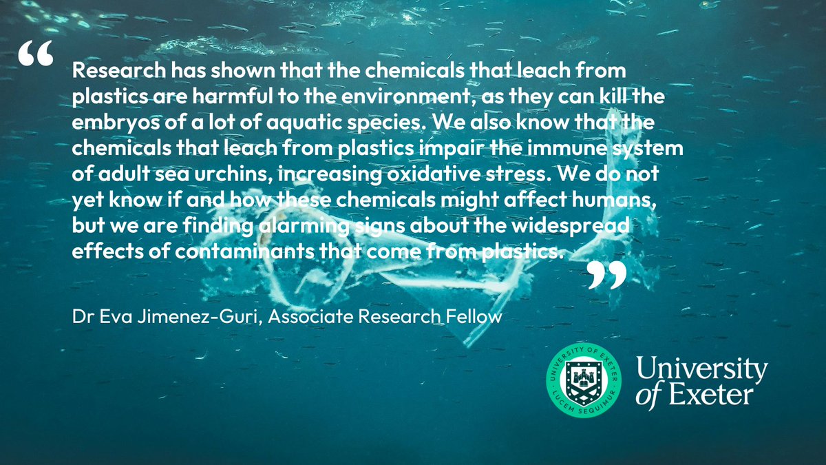 Dr Eva Jimenez-Guri @ExeterMarine on the 'alarming signs' of the effects to aquatic species of plastic pollution. #PlasticsTreaty #GreenFutures ⬇️🐟