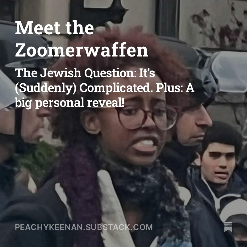 🚨New post is up! This one includes some big personal news--link in bio!🚨 Meet the Zoomerwaffen