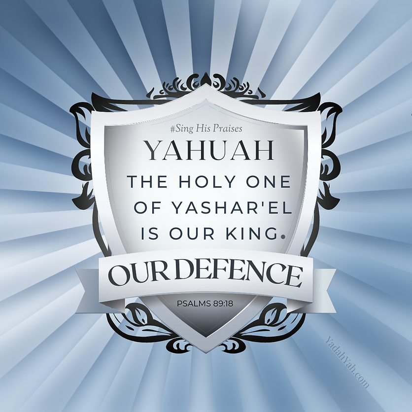 yadahyah's tweet photo. 🛡️ ALL PRAISES TO YAH! 🛡️ https://t.co/VzgIsLF9cm #ThisIsARepost https://t.co/O8czAIoAdk