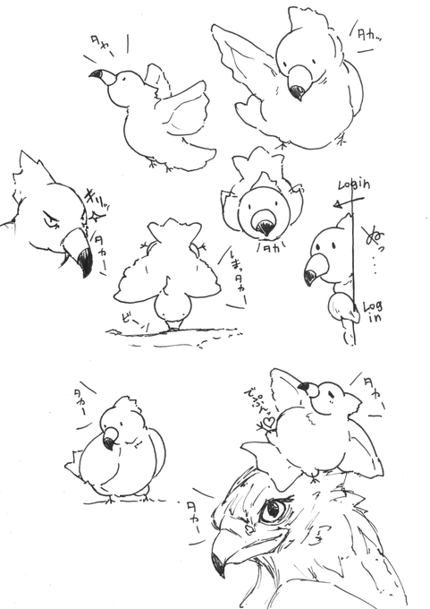 タカーーーーー!!!!!!!(`・ω・') 