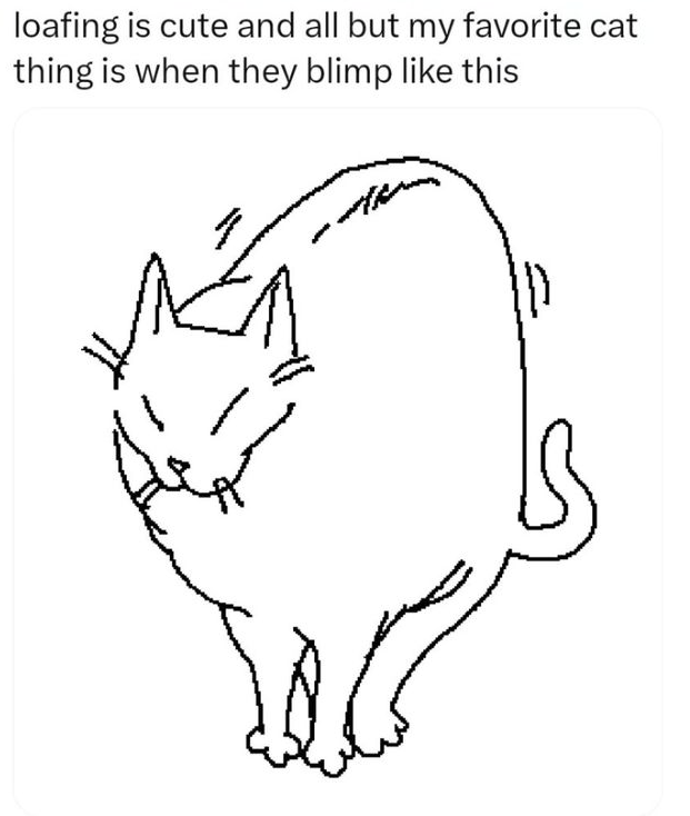 DontShowYourCat's tweet photo. https://t.co/NOq66Iseoh