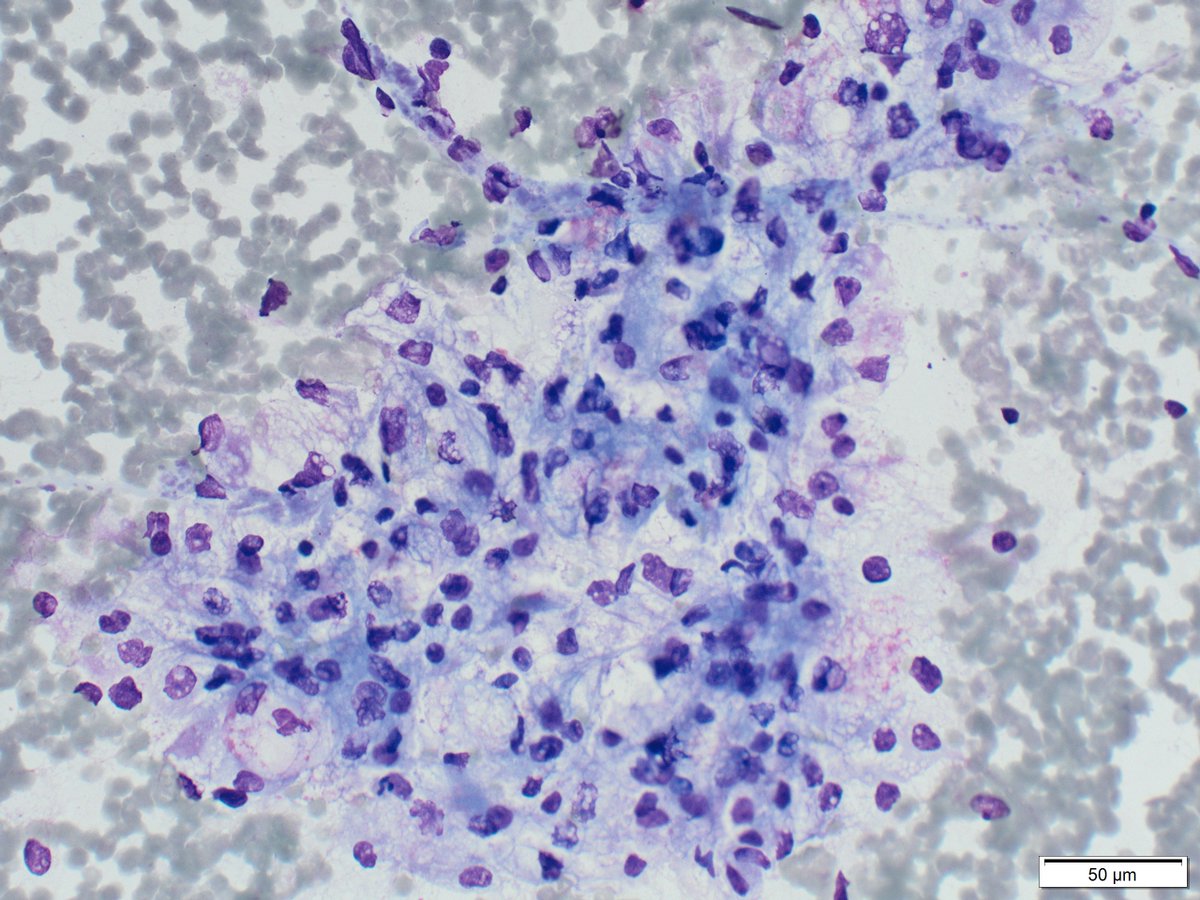 TotalCytopath tweet picture