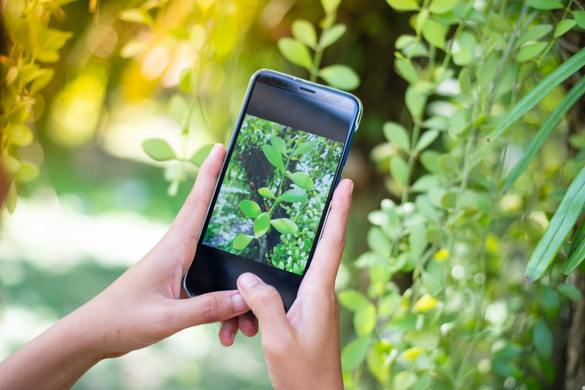 Enseignants, faites participer vos élèves au grand inventaire de la #biodiversité avec l'application 'INPN Espèces' ! 🦋 👩‍🏫 Suivez leurs observations et retrouvez des ressources pédagogiques adaptées aux niveaux et aux programmes dans l'onglet #scolaires 👉bit.ly/49QLLo0