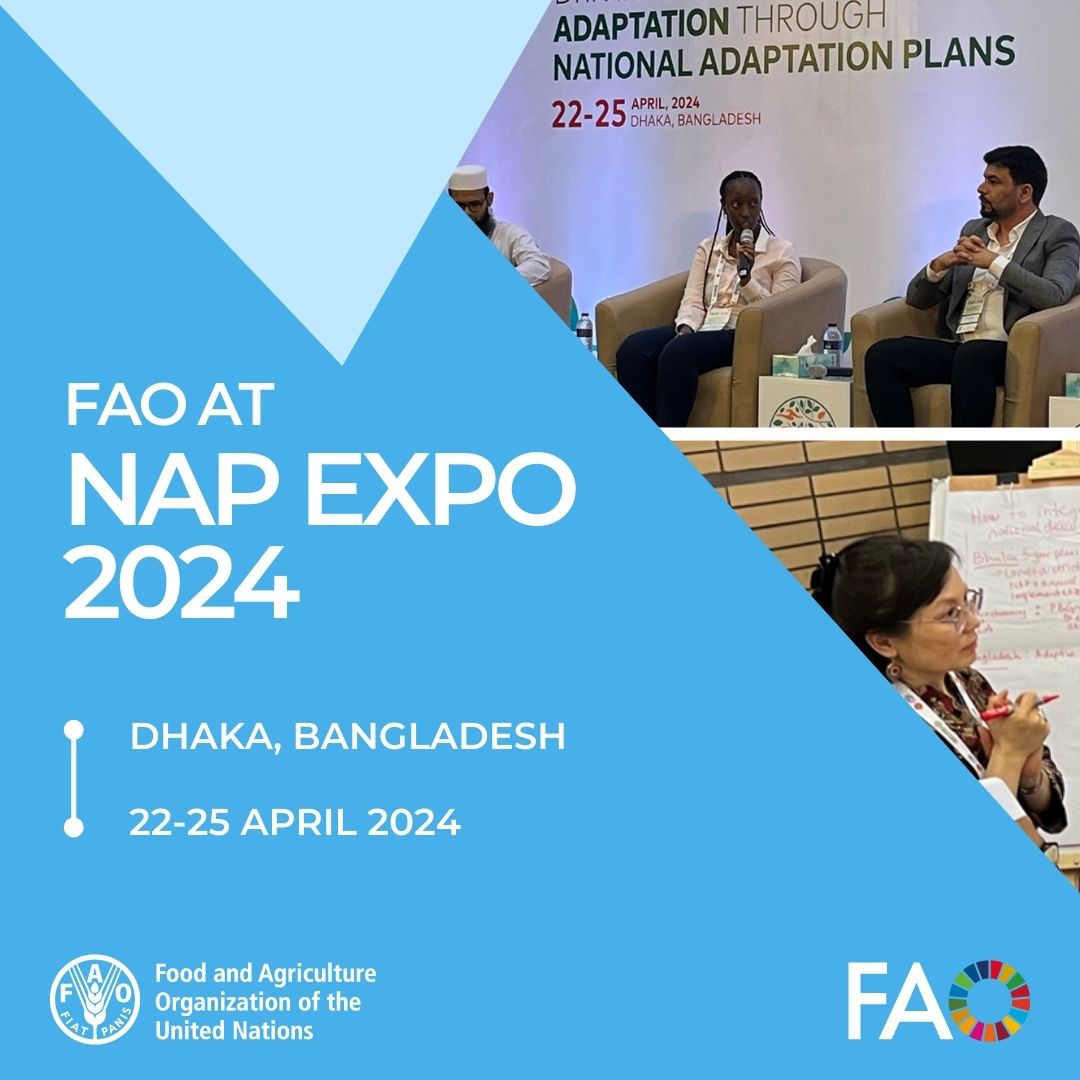 @FAO, @UNDP, @UNEP & @NAP_Network wrap up a fruitful session at #NAPExpo2024 on delivering effective and adequate adaptation through NAPs. Implementation & monitoring remain crucial for driving transformational adaptation in agrifood systems.