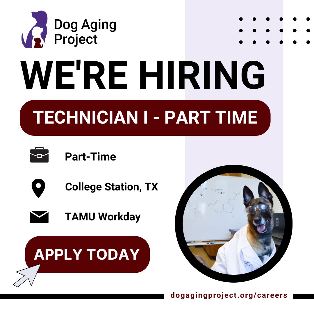 The Dog Aging Project is #hiring a Part-Time Lab Technician in College Station at @TAMU! If you or someone you know is interested in joining the most ambitious canine study of its kind, #applytoday! ➡️Learn more & #joinourteam at shorturl.at/fWY67 #LabJobs #LabTechnician
