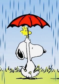 Happy Tuesday 💛☔️🌨️ #rainyday