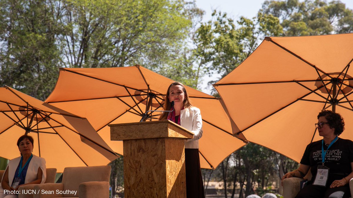 'The Regional Conservation Forum (RCF) is not only a democratic space for decision-making among the Members of the Union but also a platform to celebrate & appreciate the diversity that characterizes our organization.' IUCN Director General Grethel Aguilar at the RCF in Mexico.