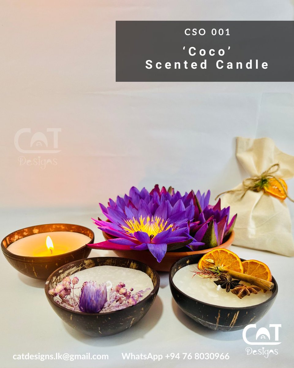 𝗦𝗰𝗲𝗻𝘁𝗲𝗱 𝗰𝗼𝗰𝗼 𝘀𝗵𝗲𝗹𝗹 𝗰𝗮𝗻𝗱𝗹𝗲𝘀 & 𝘁𝗲𝗿𝗿𝗮 𝗯𝗼𝘄𝗹 𝗰𝗮𝗻𝗱𝗹𝗲𝘀 𝘄𝗶𝘁𝗵 𝗳𝗿𝗲𝘀𝗵 /𝗱𝗿𝗶𝗲𝗱 𝗳𝗹𝗼𝘄𝗲𝗿 𝗱𝗲𝗰𝗼'𝘀 
𝐈𝐧𝐬𝐭𝐚𝐠𝐫𝐚𝐦 instagram.com/cat_designs_/
#scentedcandles #weddinginspiration #freshflowers #touristdestination #visitsrilanka