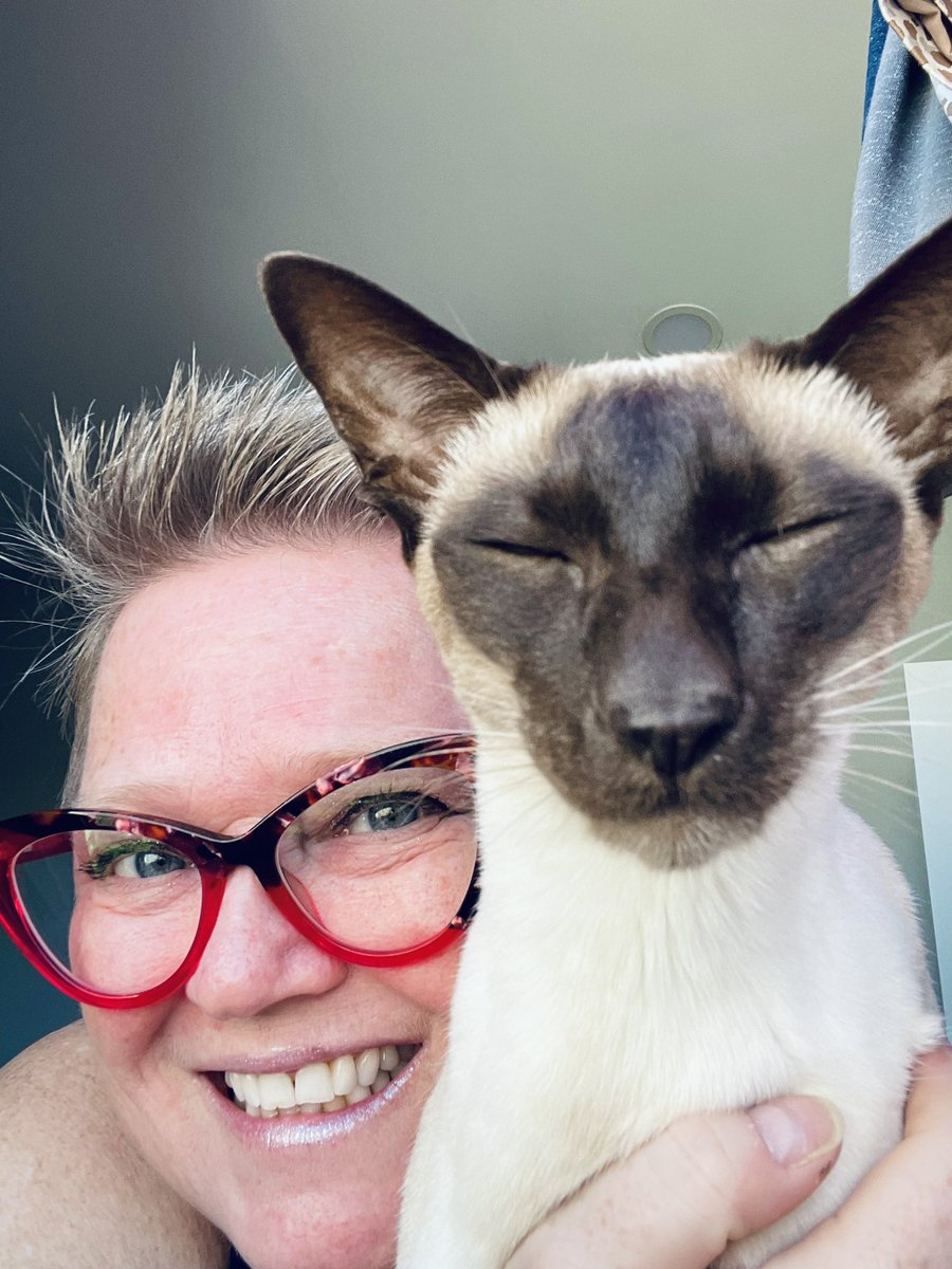 MeezerCats's tweet photo. Today is our meowmy’s birthday. We would love to get her some #HappyBirthday wishes our birthday selfies #lifewithcats #lifeisbetterwithcats 
Weez luvs our meowmy 🫶🏻💜🌟 https://t.co/OcPoVVKFx7