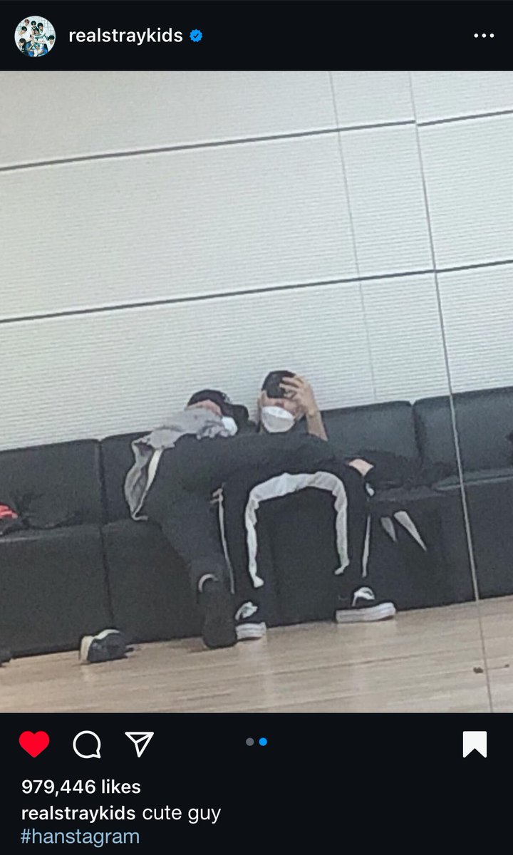 도토리‎ tweet media