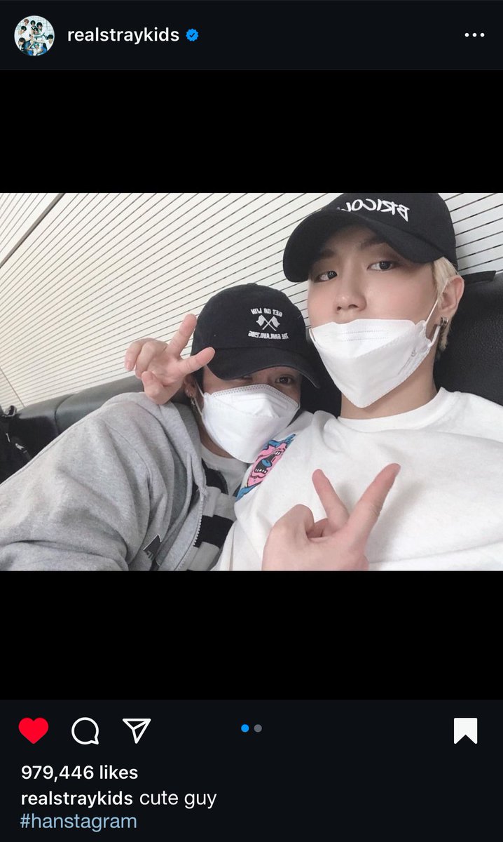 도토리‎ tweet media