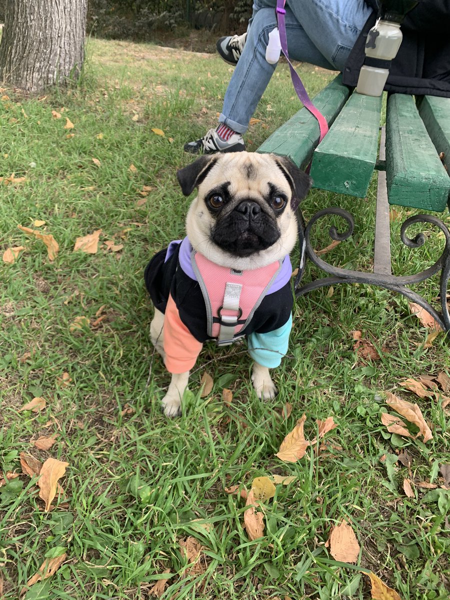 ivanaclamp tweet media