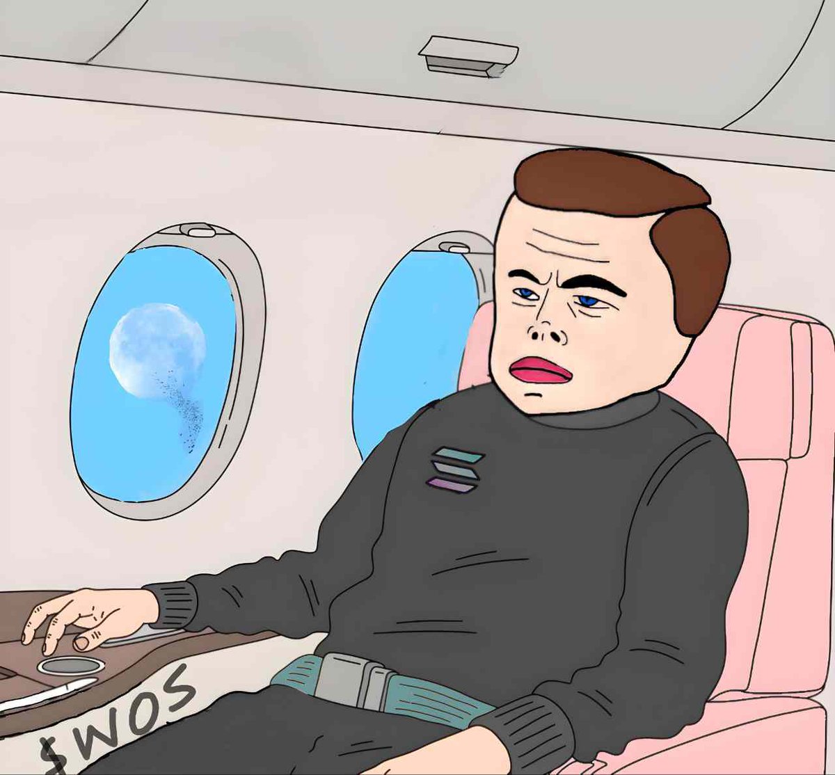 WOS AIRLINES ! WE WILL FLY SO HIGH !

Let's turn your meme 100x dream into reality.  Market recovers slowly  and $WOS  will hit new ath sooner than you think