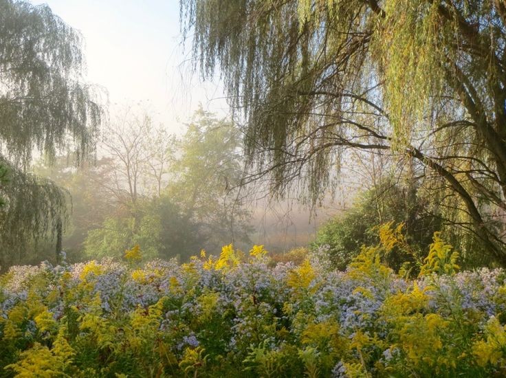elemmiressoul's tweet photo. dreamy spring. https://t.co/UvNWrJh7Ck