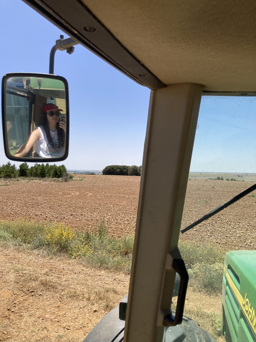 Mxrfrm's tweet photo. «Si el cielo de Castilla es tan alto, es porque lo levantaron los campesinos de tanto mirarlo».
Orgullosa de pertenecer a esta tierra y ser tan Castellana como sus campos, jotas, lechazos, vinos…
FELIZ DÍA DE CASTILLA🌾🏰💛 https://t.co/wb8Ews29Jf