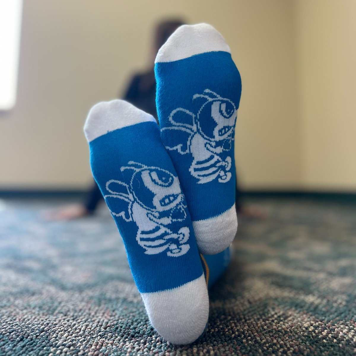 St. Ambrose Alumni (@ambrosealumni) on Twitter photo BEE SOCKS! A SAU Day of Giving tradition.
All donors of $25 or more will receive a pair of the 2024 Bee Socks in appreciation of their support. ($10 for current students) Join us and make a gift today at: tinyurl.com/saudog24 BEE SOCKS! A SAU Day of Giving tradition.
All donors of $25 or more will receive a pair of the 2024 Bee Socks in appreciation of their support. ($10 for current students) Join us and make a gift today at: tinyurl.com/saudog24