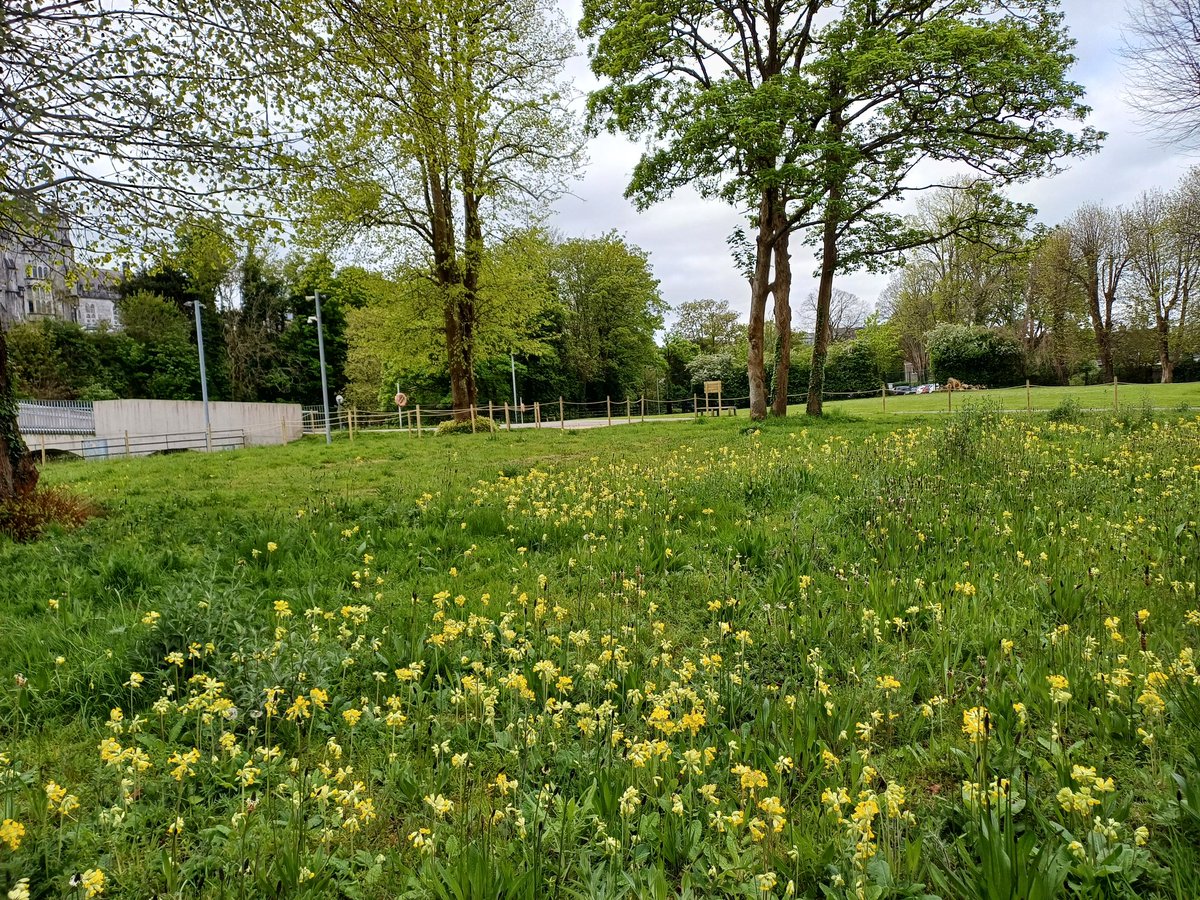 Jack Murphy tweet media