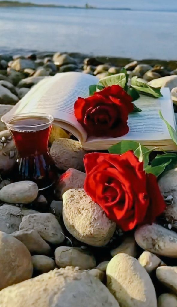 @franz_332 'No hay nada che me haya dado la felicidad completa, excepto tú'

Jaume Cabrè _🖋

Feliz #SanJordi 📖🌹💗