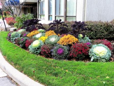 Curb Appeal Checklist for Outdoor Areas - First impressions count!  Buildings that appear unclean or poorly maintained suggest owners care less. Visitors are less likely to look for problems or walk away with a “bad feeling” when a property looks good. tocondonews.com/archives/curb-…