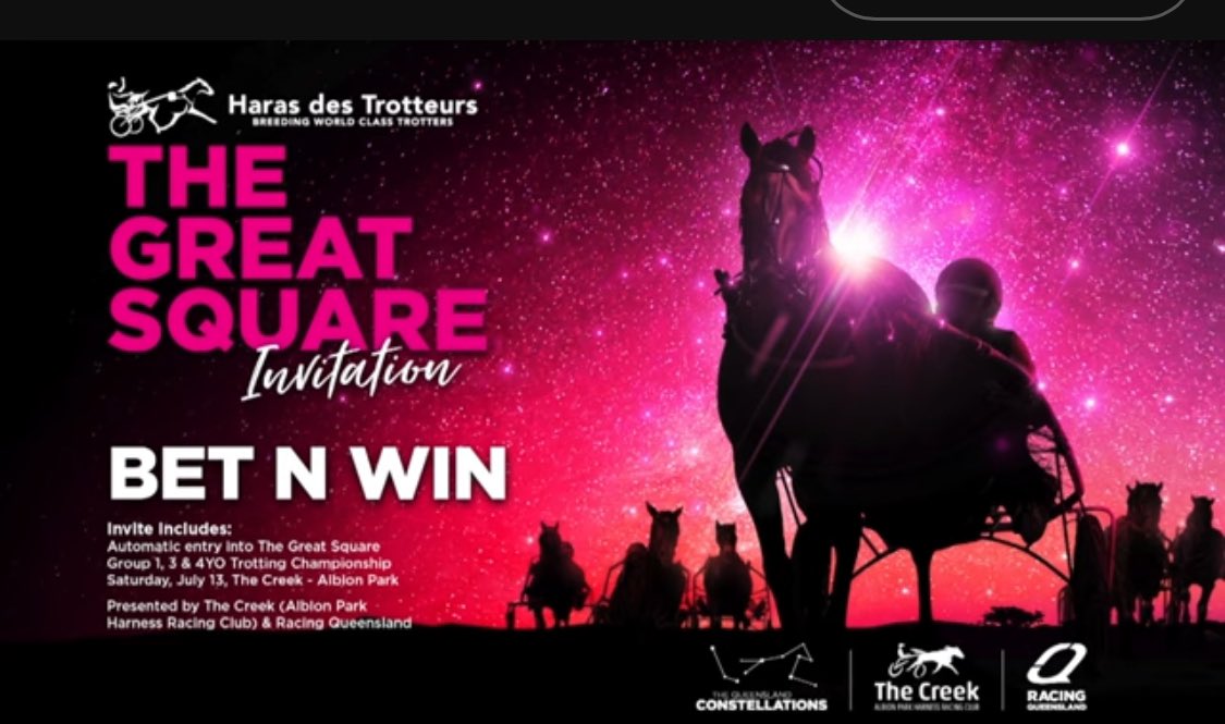 The exciting and talented kiwi trotter Bet N Win has been invited and accepted to participate in the Haras Des Trotteurs The Great Square during the Constellations Carnival, congratulations to connections, we look forward to hosting you.