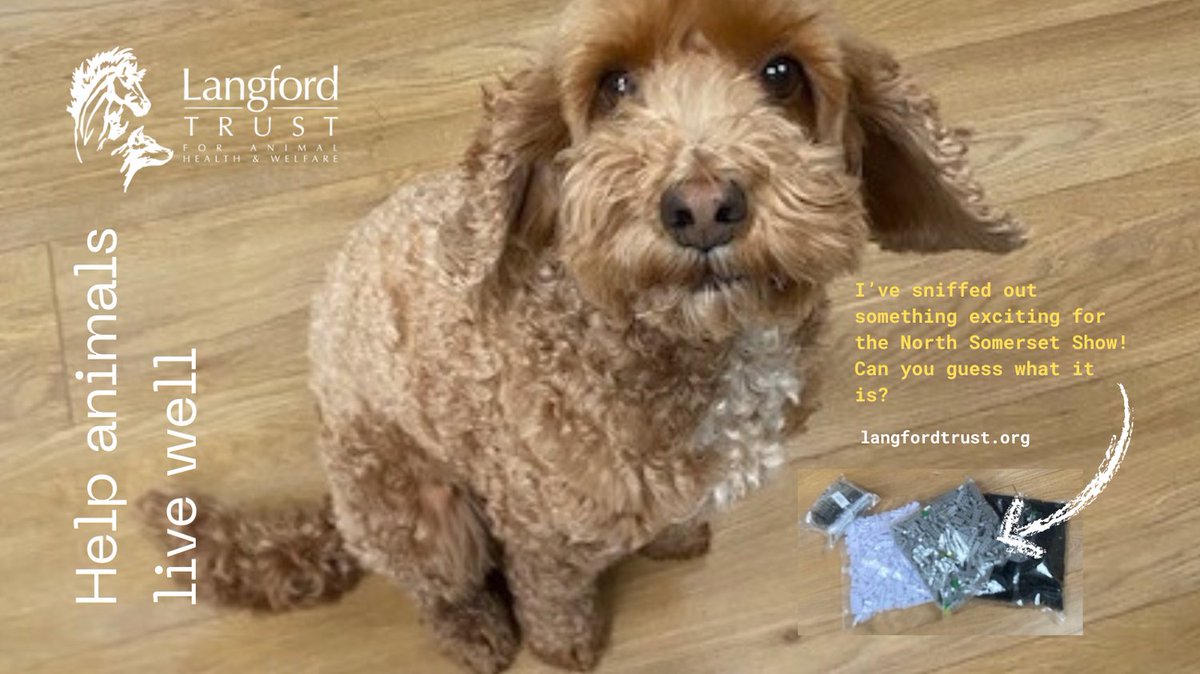 And so it begins...what will you discover at <a href="/NorthSomsShow/">North Somerset Show</a> this bank holiday Monday 6th May? #NorthSomersetShow #animalwelfare