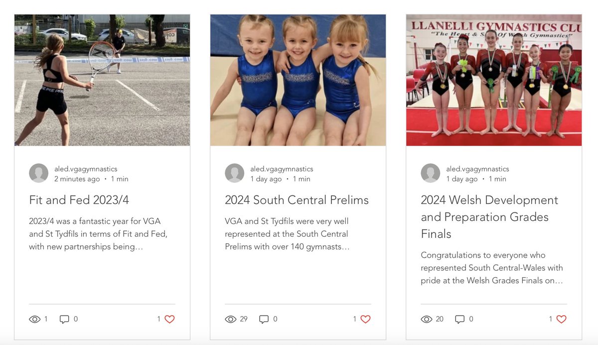 Valleys Gymnastics 💙 tweet media