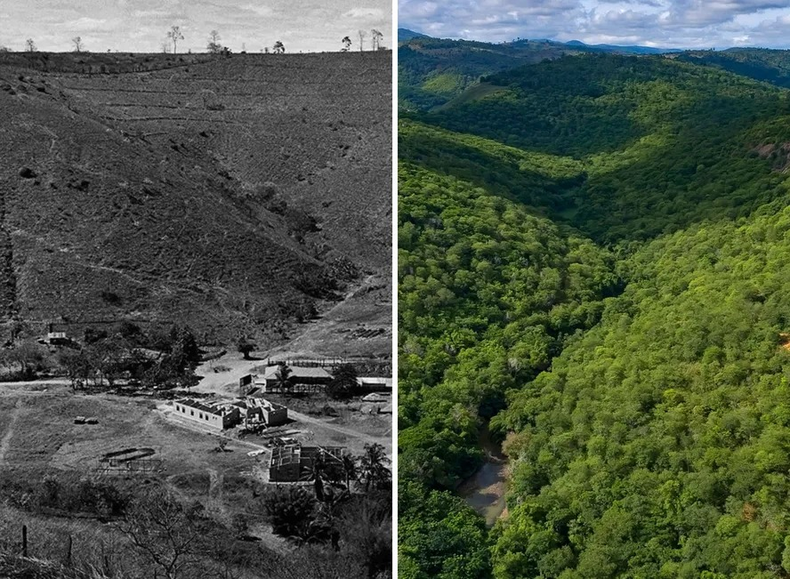 luscafusca150's tweet photo. Sebastião Salgado, um dos maiores nomes da fotografia brasileira, revitalizou uma região inteira de Mata Atlântica. Junto de sua esposa Lélia, por 25 anos trabalharam na região, reflorestando mais de 3 milhões de árvores. https://t.co/G1Teaom6Nd