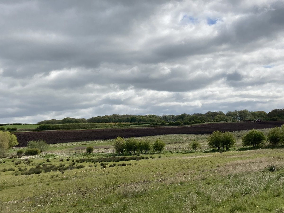 Jatty58's tweet photo. Patch Gold this morning with a m Whinchat (originally found by V Lundy) which was still on the ploughed field fence line when I arrived shortly after. Also, 2 Wheatear, 2 Grasshopper Warbler, 2 Stonechat, 2 Kestrel, 2 Buzzard, Tawny Owl & 8spp warbler. @CAWOSBirding #DuttonLocks https://t.co/tClUwHhinK