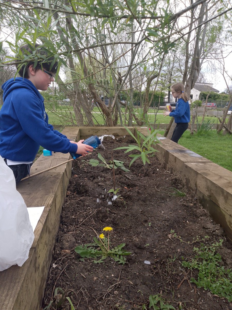 NEChildcare's tweet image. 🌱🌻 Recently, the school has generously given us one of their planters, and our little gardeners wasted no time! 🎨🌱 They drew up a plan for what seeds they&apos;d like, and on Monday, they put their plan into action! 🌱🌸#SchoolGardenFun #PlantingSeedsOfKnowledge #SummerBlossoms