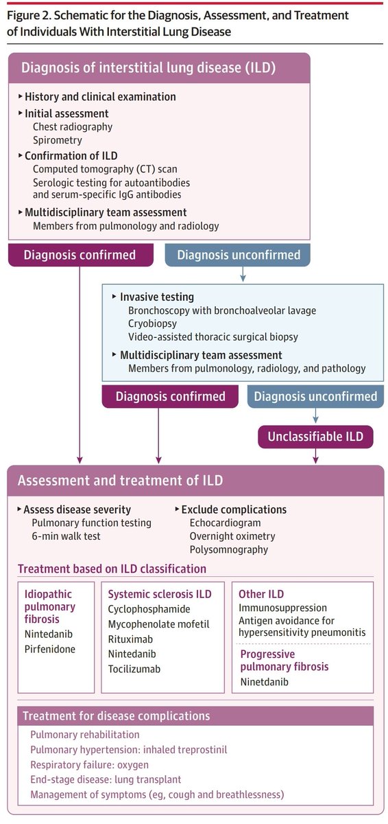 KessnerJp's tweet photo. Interstitial Lung Disease: @JAMANetwork @JAMANetworkOpen @JAMA_current
https://t.co/RGCuLzGuMM
😱🫁🩺🔦🎞📉🩸🧪🔬🥶🐍🐦💊📚
@atscommunity @EuroRespSoc @ALATorax @SPLF_SocPneumo @pneumosbpt @SeparRespira @AeerNeumologia @NeumoMadrid @socapnet https://t.co/nY6CvdT9u4