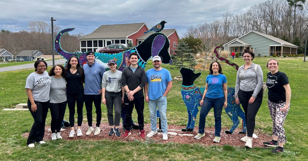 The Animal Law Clinic visited Our Companions Animal Sanctuary in Ashford, CT for an end-of-semester service project, clearing and planting the grounds of the cat rescue cabin.