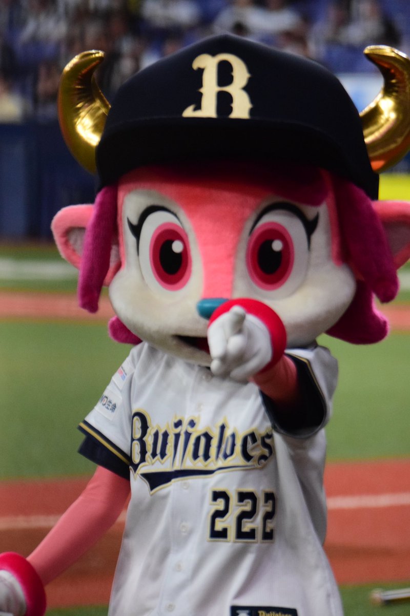 sao28shinobu's tweet image. バースデーおりほー
ありがとうございます😍💕💕💕
#bs2024 #ベルちゃん #タジ