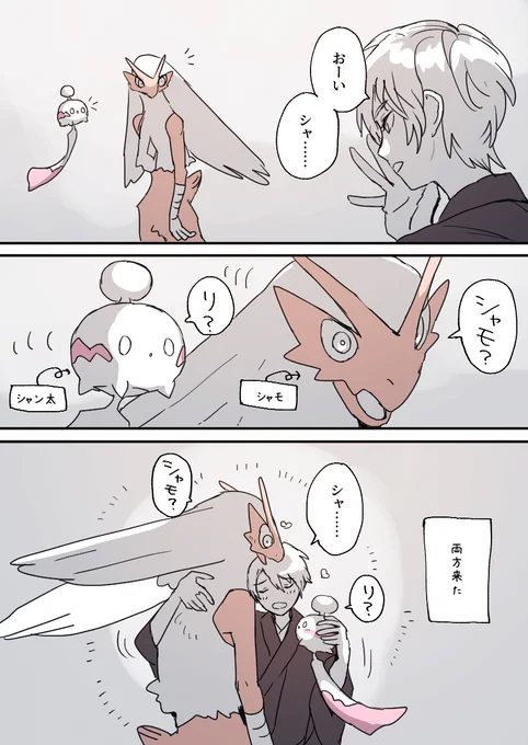 シャ 