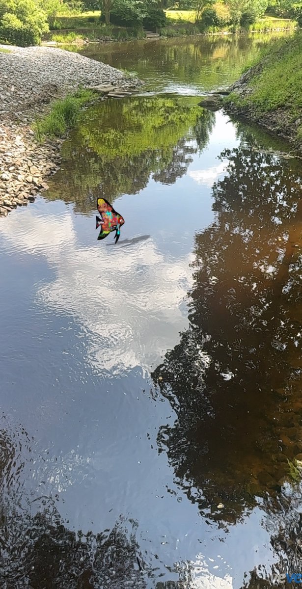 RISING⭕️STAR tweet media