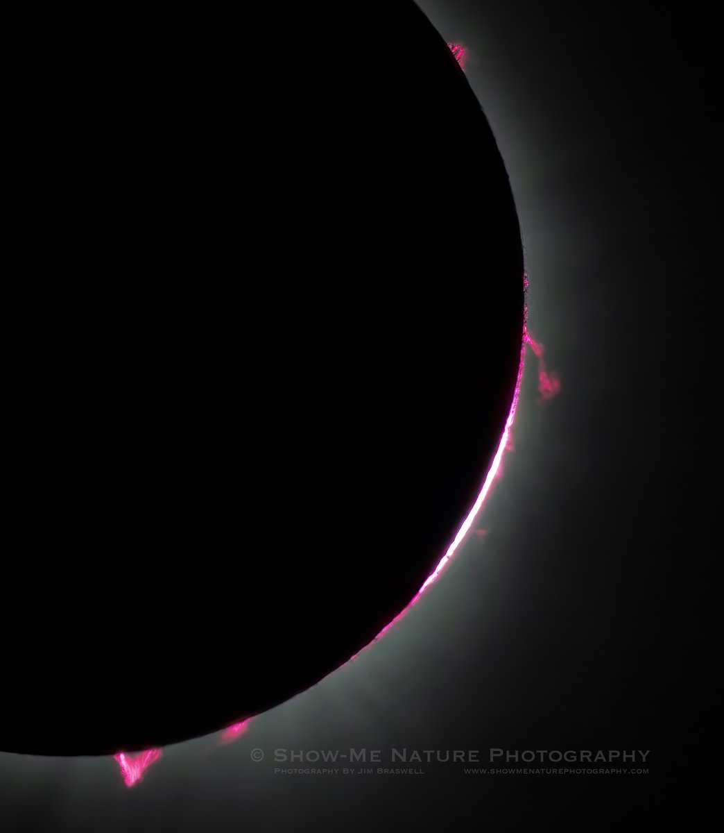 ShowMeNature's tweet image. &quot;Now You See Me ... Now You Don&apos;t&quot; tinyurl.com/yck6t4ys #Total_Solar_Eclipse #nature_photography #sun