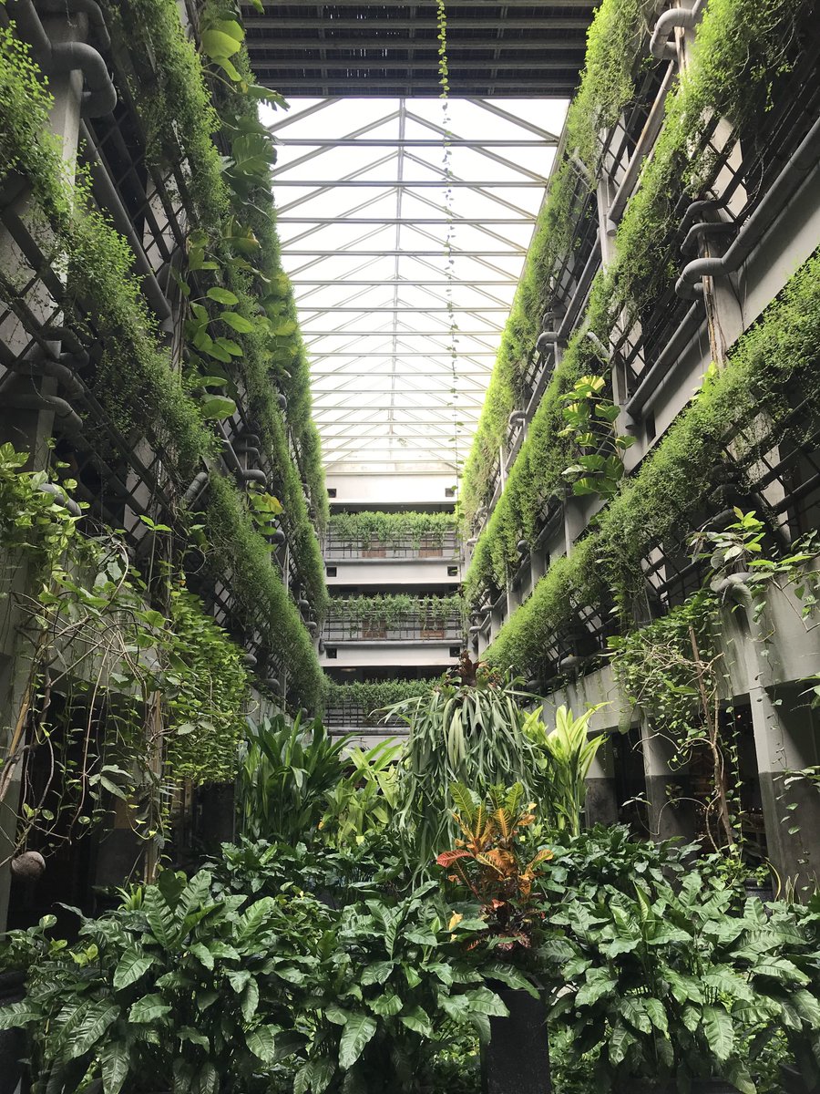 Intermoodd's tweet photo. Mungkin bisa kalian save/markah dulu!

Rekomendasi beberapa hotel yang worth it dan bisa jadi pilihan kalau kalian mau liburan di jogja🙌🏼

A THREAD part 1 https://t.co/ogoRmFVsjY