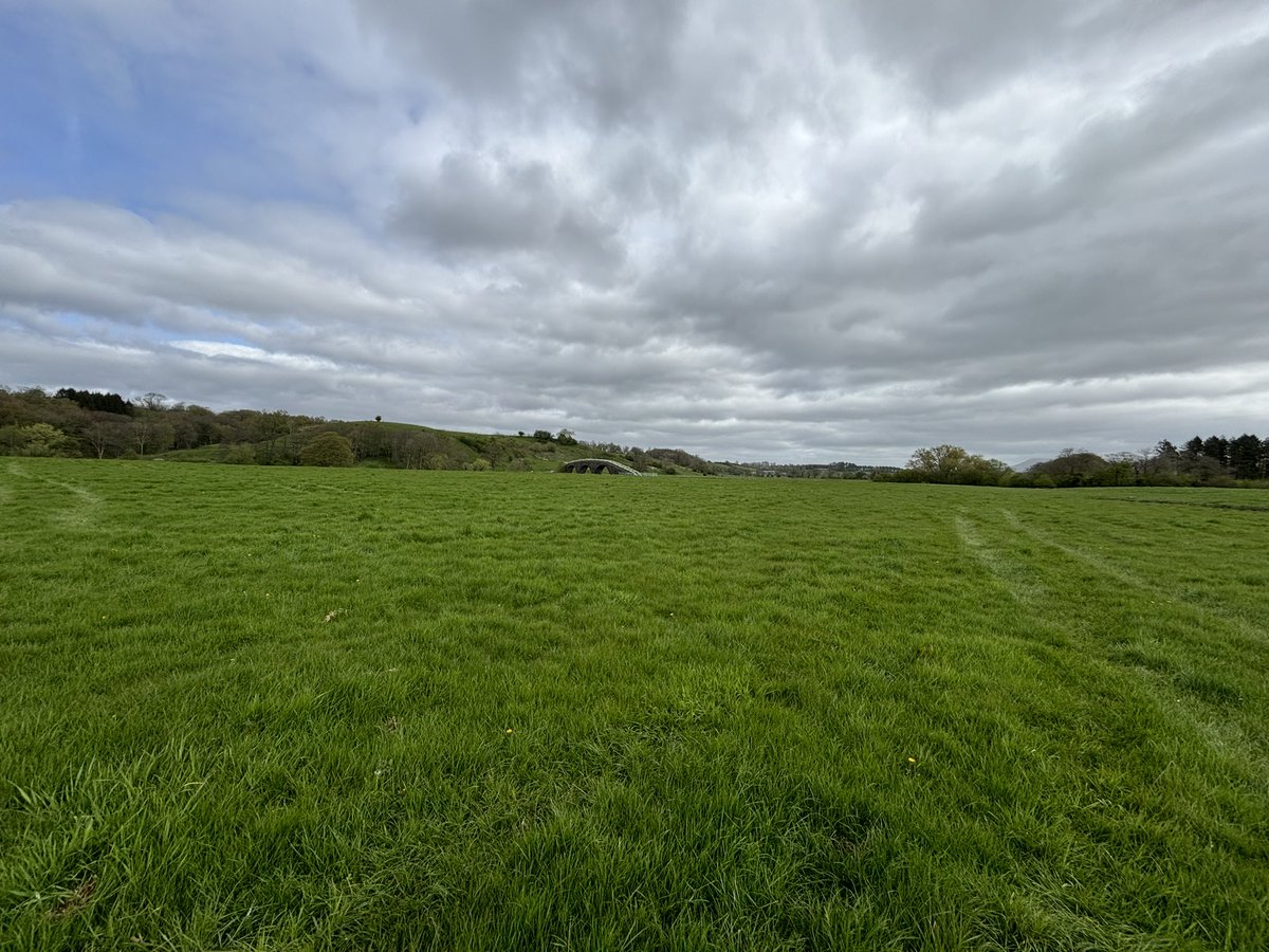 Agronomysilvers's tweet photo. Checking on upland and lowland grassland today for weed development @CortevaForage @AgriiUK #springhassprung #soiltemp #airtemp https://t.co/gVWQr4l1pe