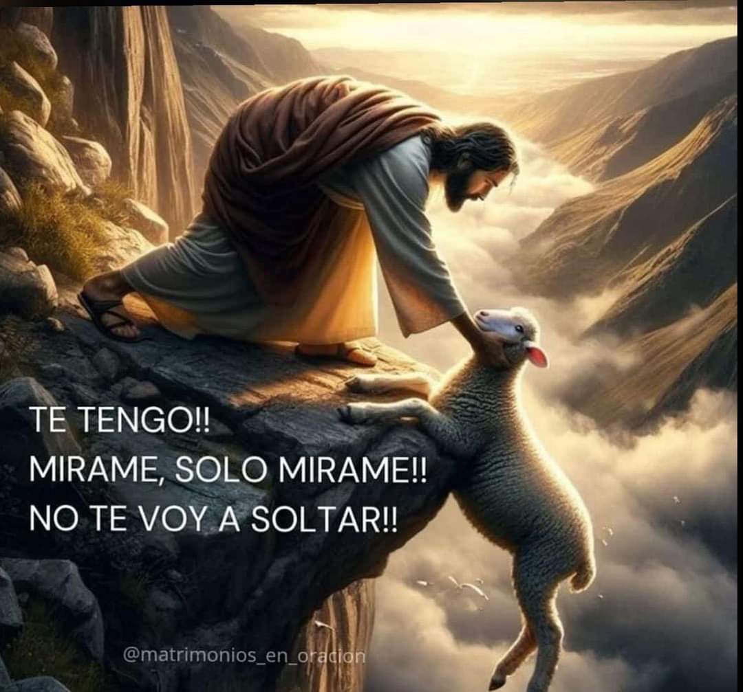 Agradeciendo el nuevo día que Dios nos regala , lleno de fé y esperanza que todo lo que necesitamos lo alcanzaremos de Tú mano Señor , solo tenemos que confiar que de su mano nunca nos soltará