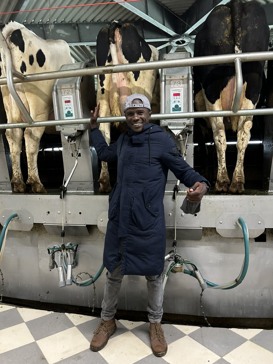 Fredmunene_'s tweet photo. High Tech dairy farm in Ukraine
-Over 5000 cows
-Milking over 3000 cows (3 times per day)
-Less than 100 farm employees 😏

-Ukraine 🇺🇦 is doing it.
-Ukraine is ready to take our hand and show us the way.
-Ukraine 🇺🇦 is our friend.

Inawezekana.
#LetsGrowTogether
#Ukraine️ https://t.co/Y93ThOkIeX