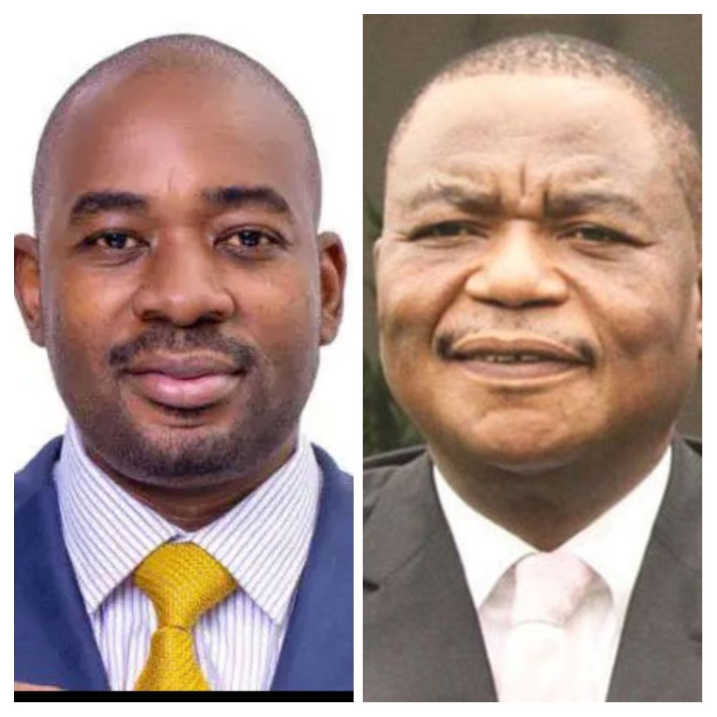 Constantino Guvheya Chiwenga has described opposition leader @nelsonchamisa as an immature & self-centred man who should be a goat herder. Ok let us be honest ladies and gentlemen, between the two, whom do you think can take Zimbabwe to greater heights? RETWEET, LIKE & COMMENT