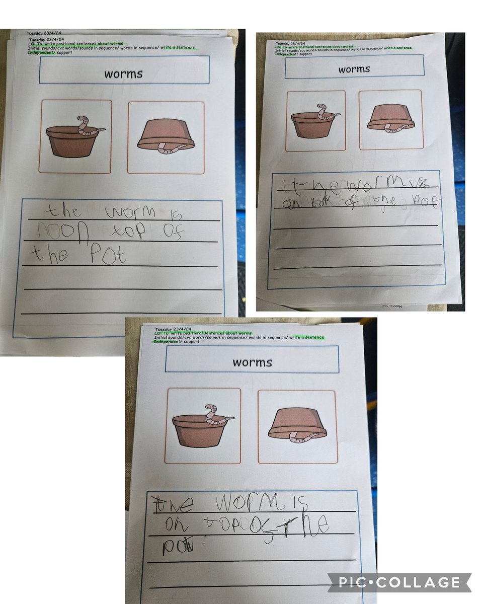 stjosephskly's tweet photo. Maple Class have been learning all about worms this afternoon.🪱🪱 #SJKscience #SJKoutdoorlearning #SJKeyfs #MapleClass https://t.co/wybeE0Q7tD