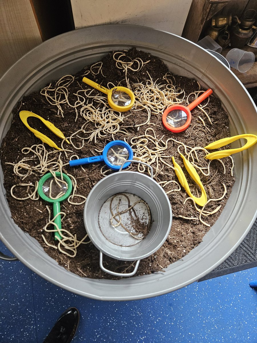 stjosephskly's tweet photo. Maple Class have been learning all about worms this afternoon.🪱🪱 #SJKscience #SJKoutdoorlearning #SJKeyfs #MapleClass https://t.co/wybeE0Q7tD