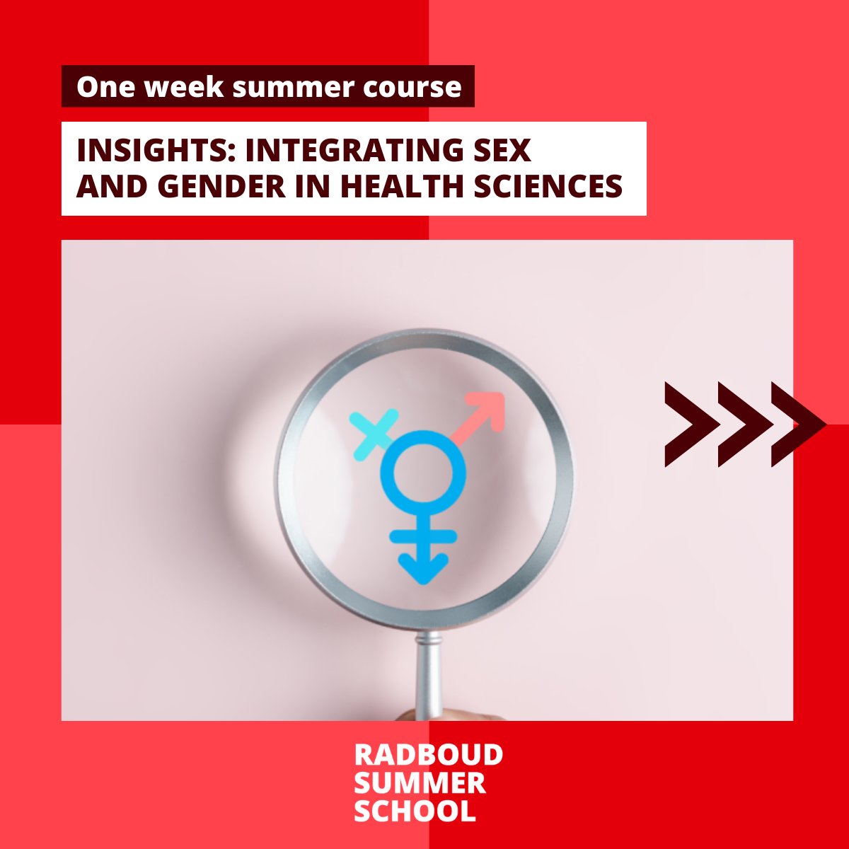 RadboudSummerSchool tweet media