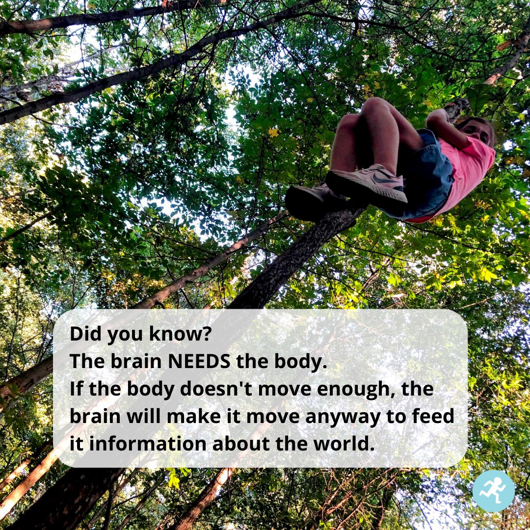 This is why kids seem to misbehave so much. Studies tell us kids are weaker than they have ever been. That means they aren't moving enough.  #movementpowerslearning #outsmartthewiggles #powerofplay #playmatters #strongbodiesstrongbrains #movemorelearnmore