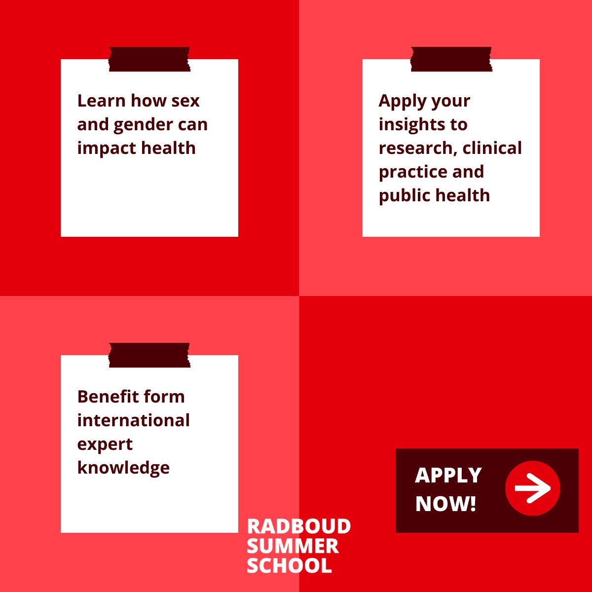 RadboudSummerSchool tweet media