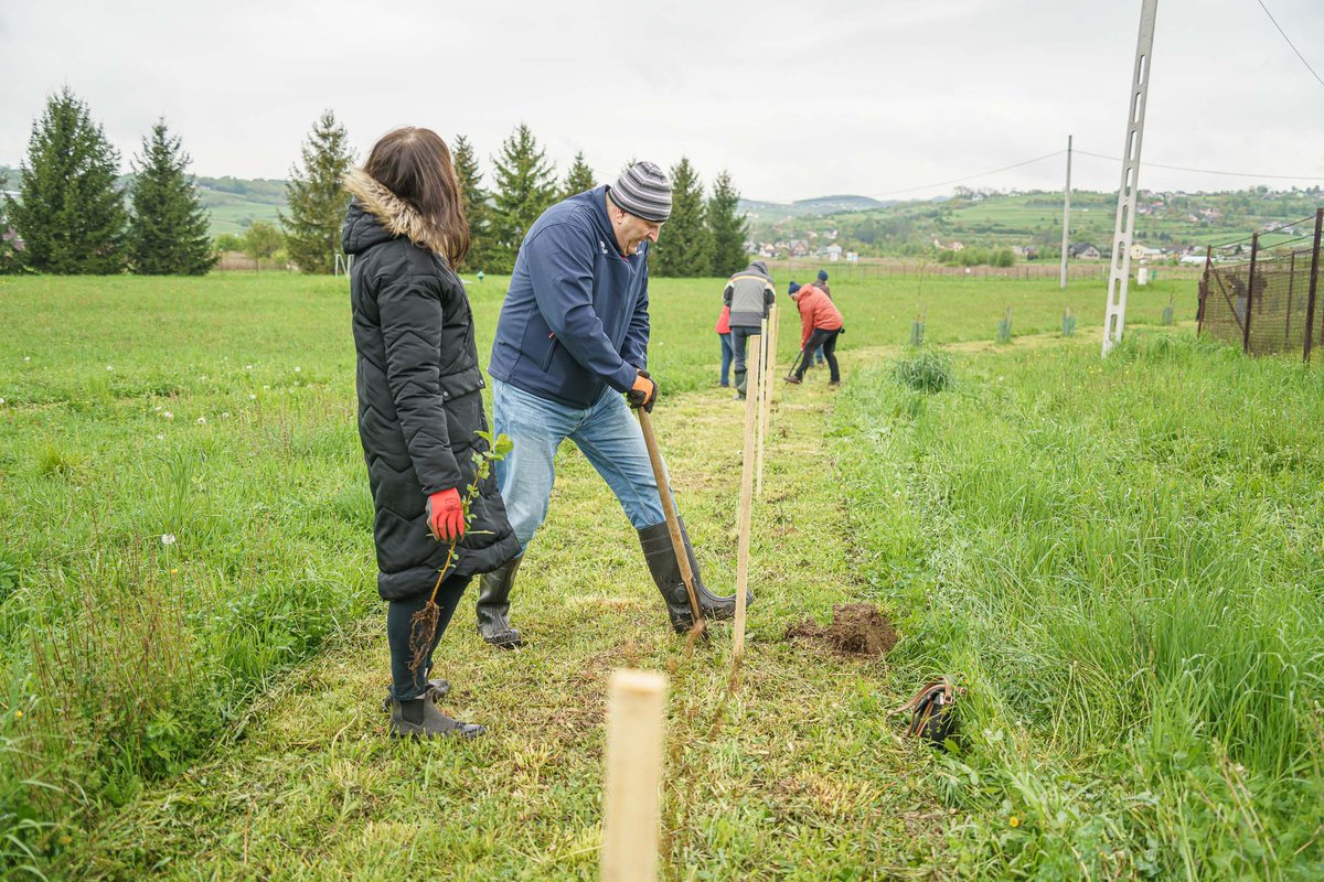 SadeckieW's tweet photo. Światowy Dzień Ziemi świętowaliśmy jak zwykle, sadząc drzewa na terenie ZUW w Świniarsku. Zakasaliśmy rękawy i 150 nowych drzew zostało posadzonych. W sumie od początku akcji to już około 1500 sadzonek. Fot. Damian Radziak
#SądeckieWodociągi #drzewa #DzieńZiemi https://t.co/5Sz7B3RTHB