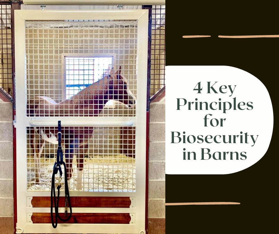 Biosecurity should be a consideration in the design of every type of equine facility – from private barns to large event venues. Read this guest post by our friends at GH2 Equine Architects at americanstalls.com/4-principles-f…