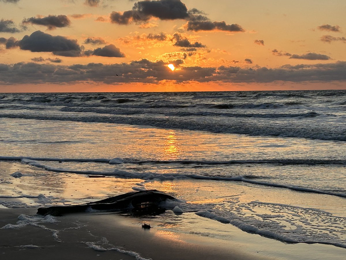 A gorgeous South Texas morning. The late season cold front is refreshing. 

#bookaddict #bookclub #bookcommunity #booklover #booksbooksbooks #bookstagramfeature #bookstagrammer #goodreads #readersofinstagram #amwriting #kindle #kindleunlimited #ipreview via @preview.app