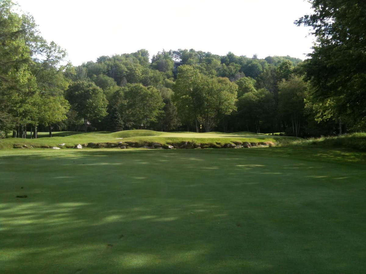 Mental Golf Coach tweet media